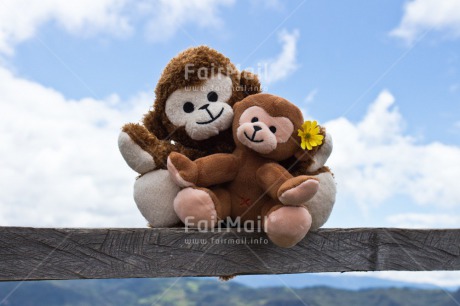 Fair Trade Photo Animals, Blue, Clouds, Colour image, Emotions, Fathers day, Friendship, Happiness, Love, Monkey, Mothers day, New baby, Peru, Sky, South America