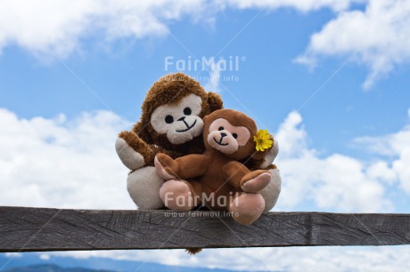 Fair Trade Photo Animals, Blue, Clouds, Colour image, Emotions, Fathers day, Friendship, Happiness, Love, Monkey, Mothers day, New baby, Peru, Sky, South America