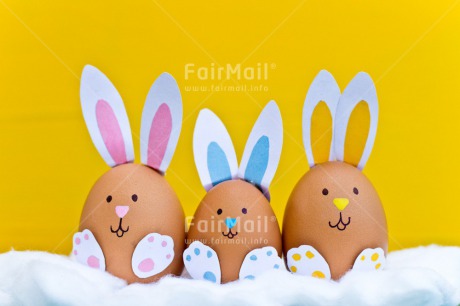 Fair Trade Photo Animals, Birth, Colour image, Colourful, Easter, Egg, Food and alimentation, Horizontal, New baby, Peru, Rabbit, South America