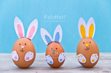 Fair Trade Photo Animals, Birth, Colour image, Colourful, Easter, Egg, Food and alimentation, Horizontal, New baby, Peru, Rabbit, South America