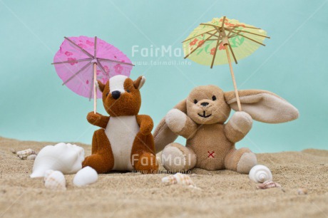 Fair Trade Photo Animals, Birthday, Blue, Colour image, Elephant, Friendship, Holiday, Peluche, Peru, Sand, Shell, South America, Travel, Umbrella