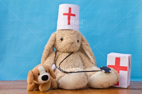 Fair Trade Photo Animals, Colour image, Dog, Get well soon, Nurse, Peluche, Peru, Rabbit, South America