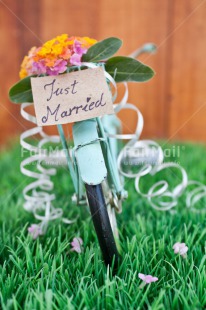 Fair Trade Photo Bicycle, Colour image, Colourful, Flower, Grass, Green, Letter, Love, Marriage, Peru, South America, Text, Thinking of you, Transport, Valentines day, Vertical, Wedding, Wood