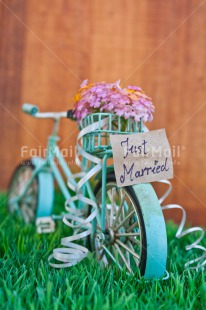Fair Trade Photo Bicycle, Colour image, Colourful, Flower, Grass, Green, Letter, Love, Marriage, Peru, South America, Text, Thinking of you, Transport, Valentines day, Vertical, Wedding, Wood