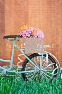 Fair Trade Photo Bicycle, Colour image, Colourful, Flower, Grass, Green, Love, Marriage, Peru, South America, Thinking of you, Transport, Valentines day, Vertical, Wedding, Wood
