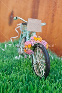 Fair Trade Photo Bicycle, Colour image, Colourful, Flower, Grass, Green, Love, Marriage, Peru, South America, Thinking of you, Transport, Valentines day, Vertical, Wedding, Wood