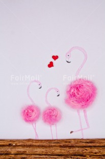 Fair Trade Photo Colour image, Flamingo, Heart, Mothers day, New baby, Peru, Pink, Pregnant, Red, South America, Vertical, White