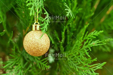 Fair Trade Photo Christmas, Christmas decoration, Christmas tree, Colour, Colour image, Horizontal, Object, Place, South America