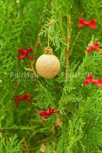 Fair Trade Photo Christmas, Christmas decoration, Christmas tree, Colour, Colour image, Object, Place, Red, South America, Staple, Vertical