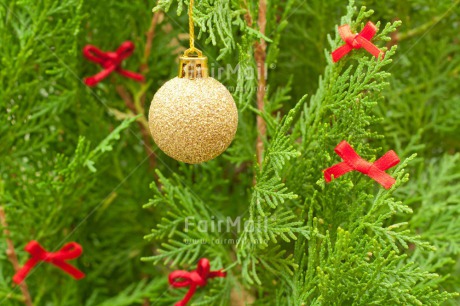 Fair Trade Photo Christmas, Christmas decoration, Christmas tree, Colour, Colour image, Horizontal, Object, Place, Red, South America, Staple