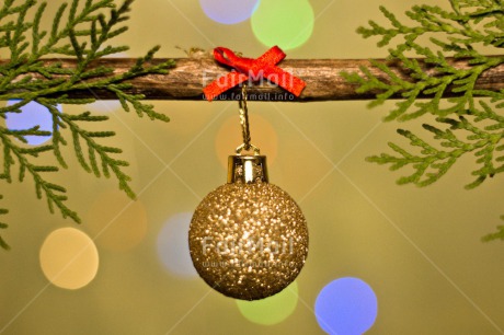 Fair Trade Photo Christmas, Christmas decoration, Christmas tree, Colour, Colour image, Horizontal, Object, Pine, Place, Red, South America, Staple