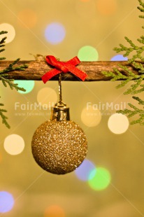 Fair Trade Photo Christmas, Christmas decoration, Christmas tree, Colour, Colour image, Object, Pine, Place, Red, South America, Staple, Vertical