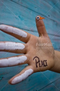 Fair Trade Photo Animal, Blue, Body, Colour, Colour image, Dove, Finger, Hand, Hope, Horizontal, Letter, Object, Peace, Peru, Place, South America, Text, Values, Vertical