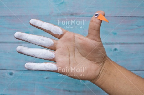 Fair Trade Photo Animal, Blue, Body, Colour, Colour image, Dove, Finger, Hand, Hope, Horizontal, Peace, Peru, Place, South America, Values