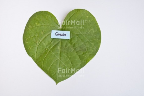 Fair Trade Photo Colour, Colour image, Friendship, Gratitude, Green, Heart, Horizontal, Leaf, Letter, Love, Nature, Object, Peru, Place, South America, Text, Thank you, Values, White