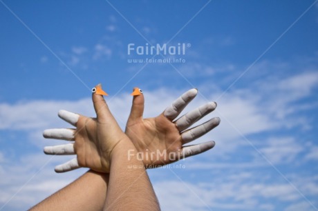 Fair Trade Photo Animal, Blue, Body, Colour, Colour image, Dove, Finger, Hand, Horizontal, Peru, Place, South America, Values