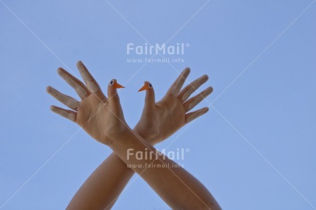 Fair Trade Photo Animal, Blue, Body, Colour, Colour image, Dove, Finger, Hand, Hope, Horizontal, Peace, Peru, Place, South America, Values