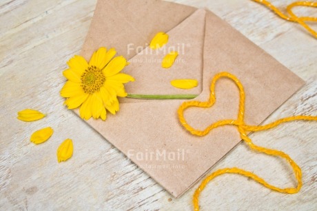 Fair Trade Photo Adjective, Colour, Colour image, Envelope, Flower, Horizontal, Love, Nature, Object, Peru, Petals, Place, South America, Thinking of you, Yellow