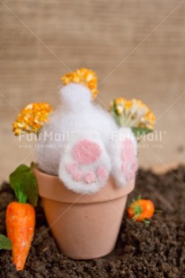 Fair Trade Photo Adjective, Animals, Birthday, Carrot, Easter, Rabbit, Vertical