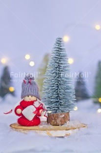 Fair Trade Photo Activity, Adjective, Celebrating, Christmas, Christmas decoration, Christmas tree, Colour, Doll, Light, Nature, Object, Present, Red, Snow, Vertical