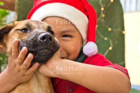 Fair Trade Photo Activity, Adjective, Animal, Animals, Body, Celebrating, Child, Christmas, Christmas decoration, Christmas hat, Dog, Emotions, Happiness, Happy, Horizontal, Light, Nature, Object, People, Present, Puppy, Santaclaus, Smile