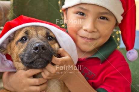 Fair Trade Photo Activity, Adjective, Animal, Animals, Body, Celebrating, Child, Christmas, Christmas decoration, Christmas hat, Dog, Emotions, Happiness, Happy, Horizontal, Light, Nature, Object, People, Present, Puppy, Santaclaus, Smile