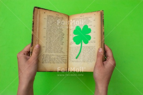 Fair Trade Photo Activity, Book, Clover, Colour, Flower, Green, Nature, Object, Reading, Study, Studying