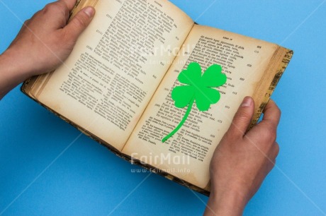 Fair Trade Photo Activity, Blue, Book, Clover, Colour, Flower, Green, Nature, Object, Reading, Study, Studying