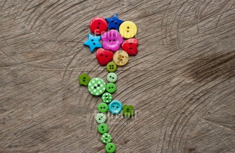 Fair Trade Photo Button, Closeup, Colour image, Flower, Get well soon, Horizontal, Mothers day, Peru, Shooting style, South America