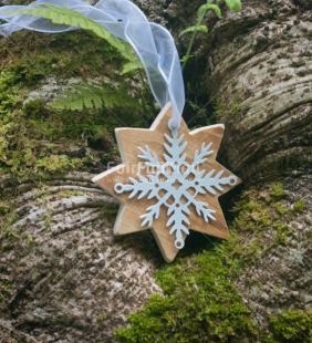 Fair Trade Photo Christmas, Closeup, Colour image, Horizontal, Outdoor, Peru, Shooting style, South America, Star, Tree, White, Wood