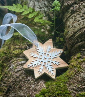 Fair Trade Photo Christmas, Closeup, Colour image, Horizontal, Outdoor, Peru, Shooting style, South America, Star, Tree, White, Wood