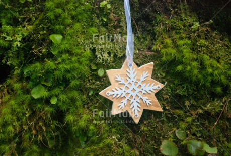 Fair Trade Photo Christmas, Closeup, Colour image, Horizontal, Outdoor, Peru, Shooting style, South America, Star, Tree, White, Wood