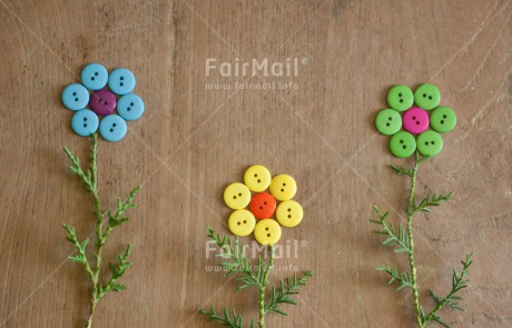 Fair Trade Photo Button, Closeup, Colour image, Flower, Get well soon, Horizontal, Mothers day, Peru, Shooting style, South America