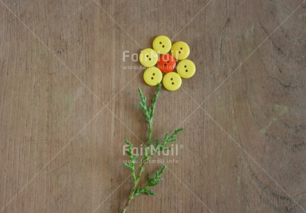 Fair Trade Photo Button, Closeup, Colour image, Flower, Get well soon, Horizontal, Mothers day, Peru, Shooting style, South America