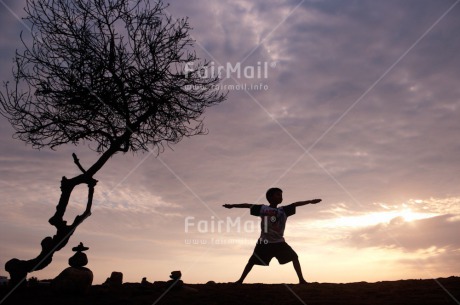 Fair Trade Photo Colour image, Evening, Health, Horizontal, One boy, Outdoor, Peace, People, Peru, Shooting style, Silhouette, South America, Tree, Wellness, Yoga