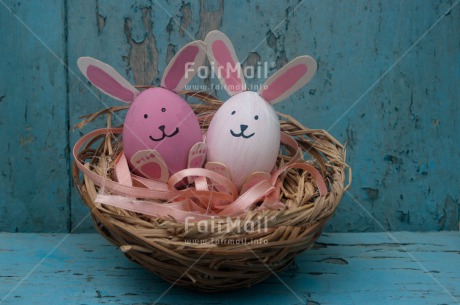 Fair Trade Photo Animals, Colour image, Day, Easter, Grass, Horizontal, Outdoor, Peru, Rabbit, Seasons, South America, Spring