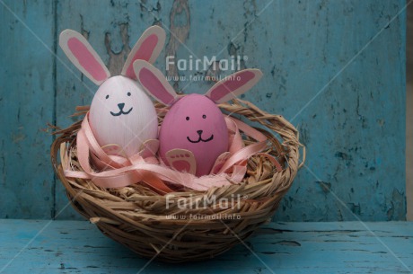 Fair Trade Photo Animals, Colour image, Day, Easter, Grass, Horizontal, Outdoor, Peru, Rabbit, Seasons, South America, Spring