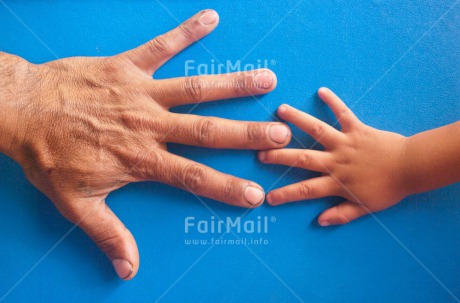 Fair Trade Photo Care, Closeup, Colour image, Father, Fathers day, Hand, Horizontal, Love, One child, One man, People, Peru, Shooting style, South America, Together, Two hands