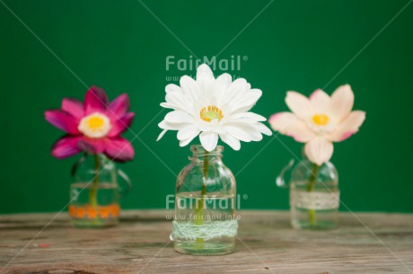 Fair Trade Photo Colour image, Flower, Horizontal, Mothers day, Peru, South America, Vase