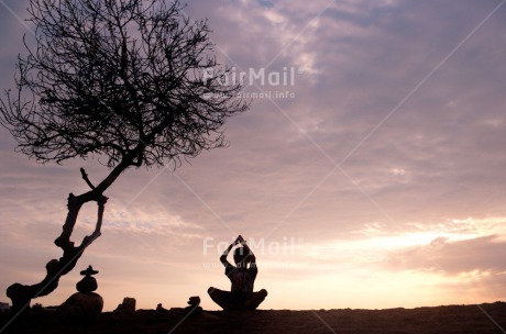 Fair Trade Photo Colour image, Evening, Health, Horizontal, One boy, Outdoor, Peace, People, Peru, Shooting style, Silhouette, South America, Tree, Wellness, Yoga