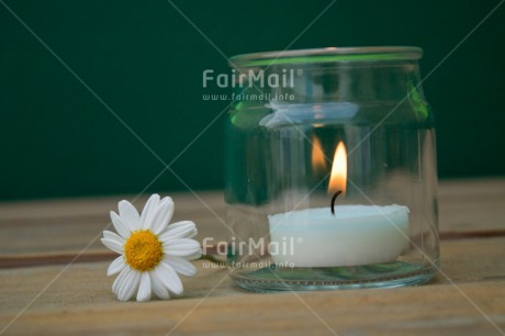 Fair Trade Photo Candle, Closeup, Colour image, Condolence-Sympathy, Daisy, Flame, Flower, Horizontal, Peru, Shooting style, South America, Thinking of you