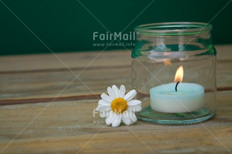 Fair Trade Photo Candle, Closeup, Colour image, Condolence-Sympathy, Daisy, Flame, Flower, Horizontal, Peru, Shooting style, South America, Thinking of you