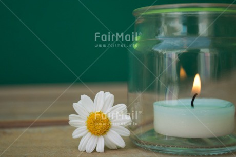 Fair Trade Photo Candle, Closeup, Colour image, Condolence-Sympathy, Daisy, Flame, Flower, Horizontal, Peru, Shooting style, South America, Thinking of you