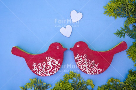 Fair Trade Photo Animals, Bird, Colour image, Heart, Horizontal, Love, Marriage, Peru, South America, Valentines day, Wedding