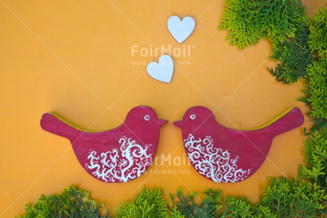 Fair Trade Photo Animals, Bird, Colour image, Heart, Horizontal, Love, Marriage, Peru, South America, Valentines day, Wedding