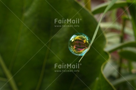 Fair Trade Photo Colour image, Dreaming, Horizontal, Nature, Peru, Soapbubble, South America, Transparency, Water