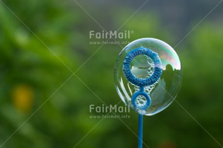 Fair Trade Photo Colour image, Dreaming, Flower, Horizontal, Nature, Peru, Soapbubble, South America, Transparency, Water