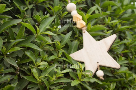 Fair Trade Photo Christmas, Closeup, Colour image, Horizontal, Peru, Shooting style, South America, Star