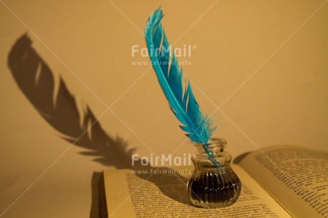 Fair Trade Photo Book, Colour image, Education, Exams, Feather, Horizontal, Peru, Reading, South America