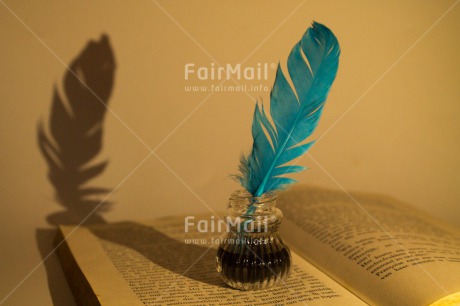 Fair Trade Photo Book, Colour image, Education, Exams, Feather, Horizontal, Peru, Reading, South America